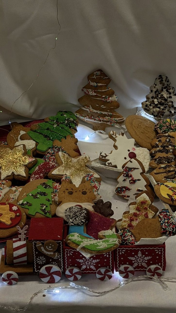 Представителна изява на учениците от клуб „Занимания по интереси“ – професионална паралелка