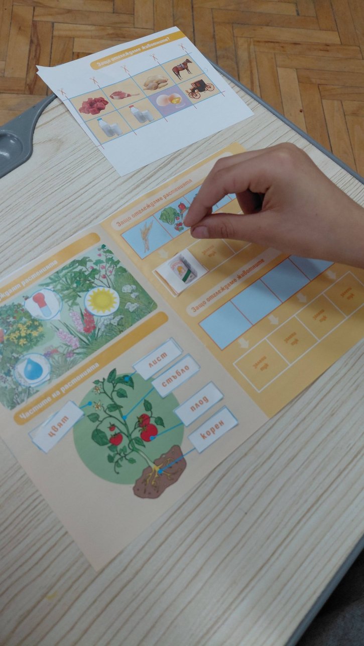 Урок по родинознание на тема: Растенията и животните около нас.