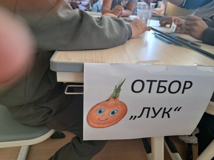 Обмен на добри практики по НП „Иновации в действие“ в ОбУ „Св. св. Кирил и Методий“ – с. Ръжена.