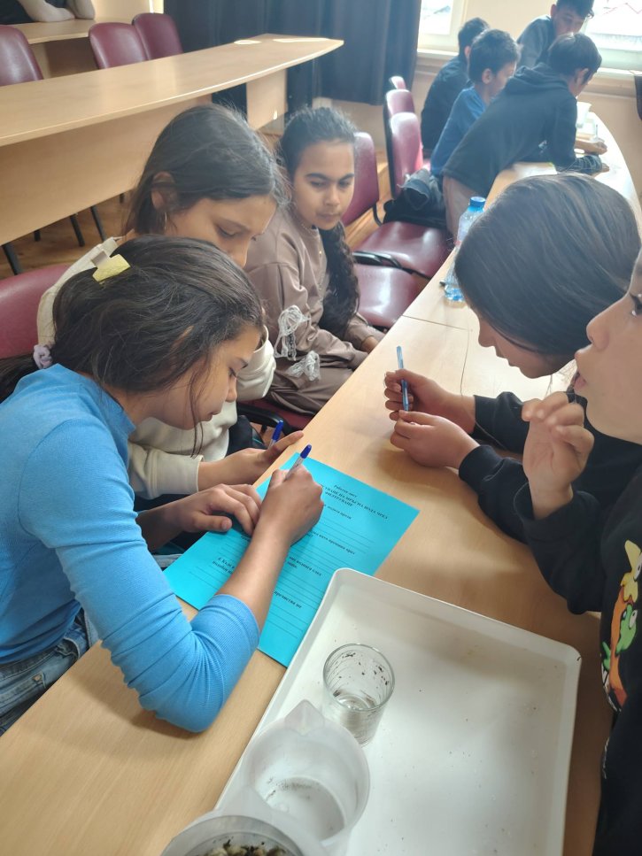 Открит урок по повод Световния ден на водата в 5. клас.