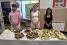 Ден на отворените врати