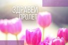 Пролетно настроение и цветна украса в начален етап.