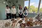 „ОбУ „Св. св. Кирил и Методий“ отбеляза патронния си празник с откриване на STEM център.