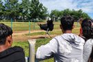 От планинските пътеки до щраусовата ферма – едно вълнуващо пътешествие.