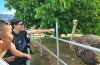 От планинските пътеки до щраусовата ферма – едно вълнуващо пътешествие.